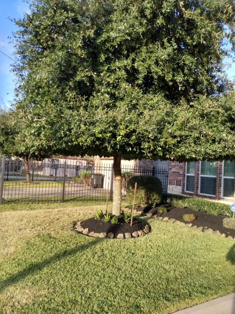 Top-rated outdoor landscaping near you in Houston, TX by FB Lawn/Landscape Service