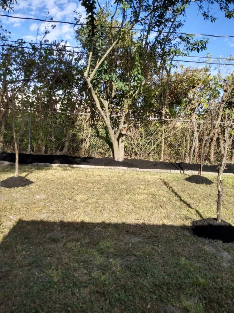 Professional lawn mowing service for year-round maintenance across Houston, TX - FB Lawn/Landscape Service