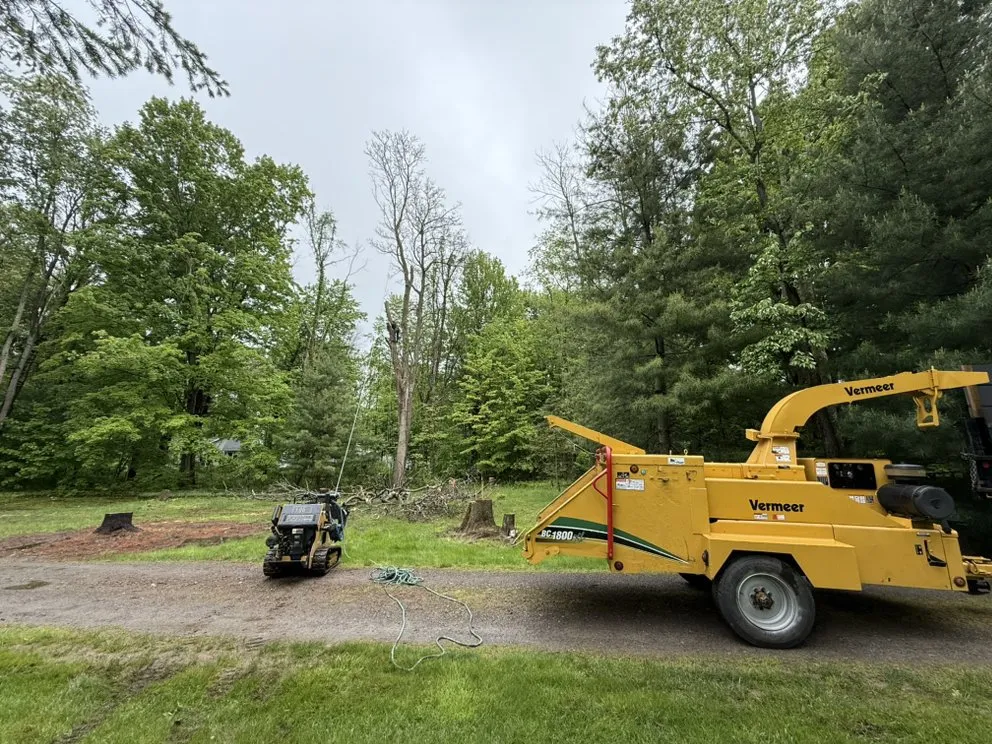 Trusted yard cleanup service experts serving Walworth, NY - F&B Tree and Landscape