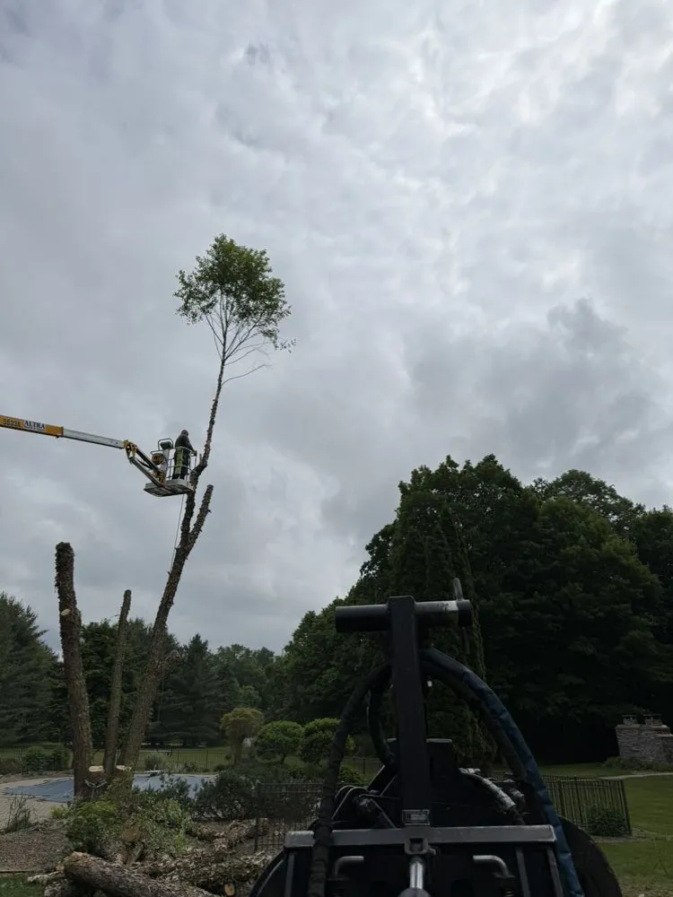 Affordable yard maintenance in Walworth, NY by F&B Tree and Landscape