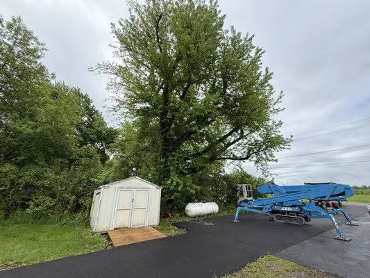 F&B Tree and Landscape