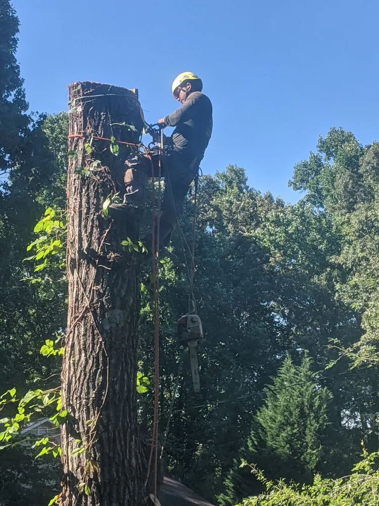 Local yard maintenance in Roswell, GA by F&B Tree Service