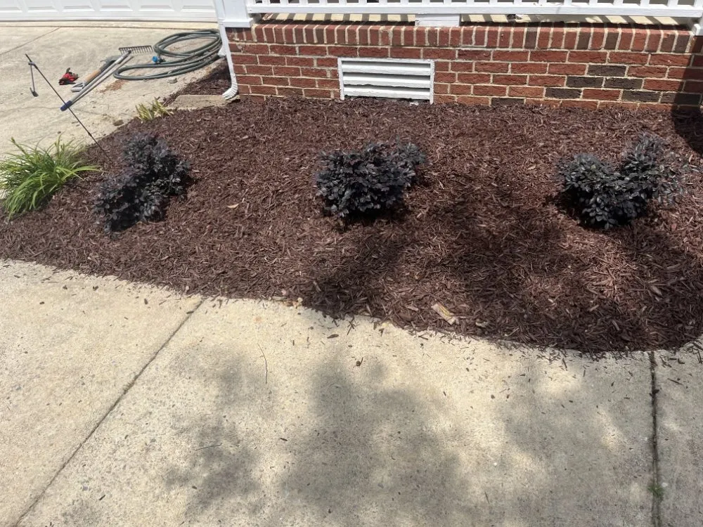 Affordable landscaping services for year-round maintenance across Raleigh, NC - FBLandscaping