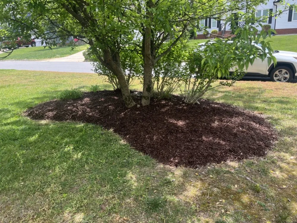 Affordable outdoor landscaping in Raleigh, NC by FBLandscaping