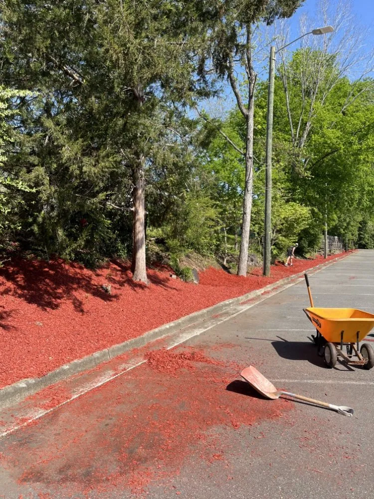 Professional lawn care service in Raleigh, NC by FBLandscaping