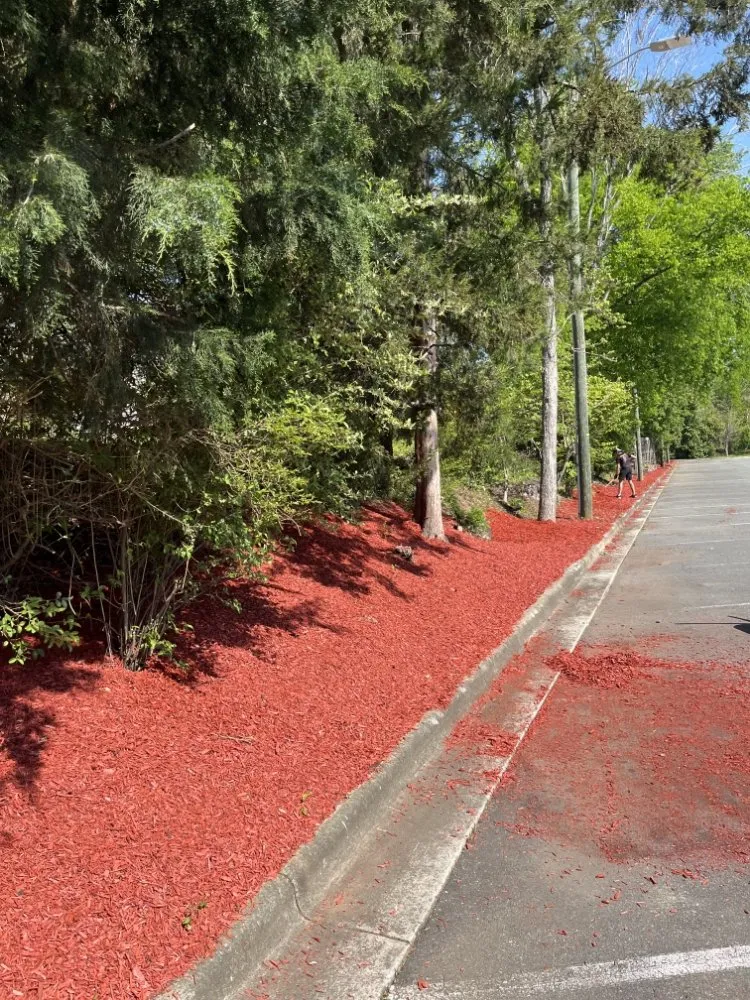 Affordable landscape design for residential properties in Raleigh, NC by FBLandscaping