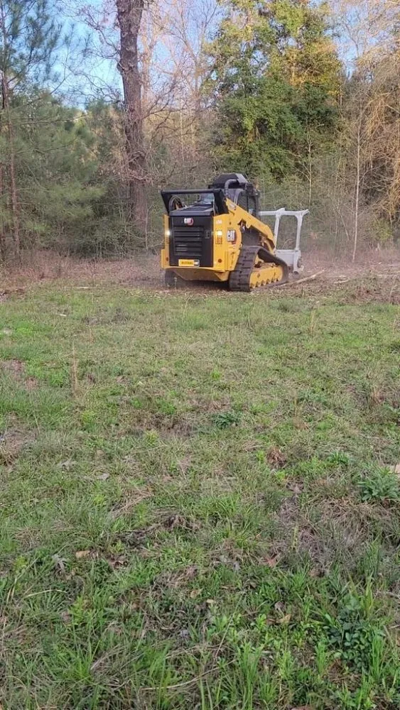 Top-rated landscaping services for year-round maintenance across New Caney, TX - FC Land Services