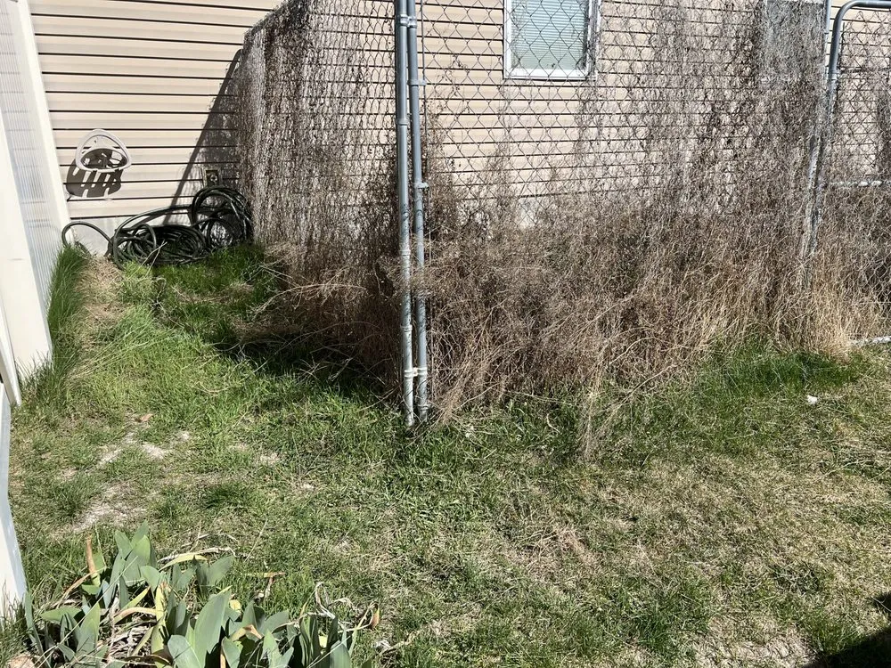 Expert garden landscaping in Eagle Mountain, UT - FC Landscaping