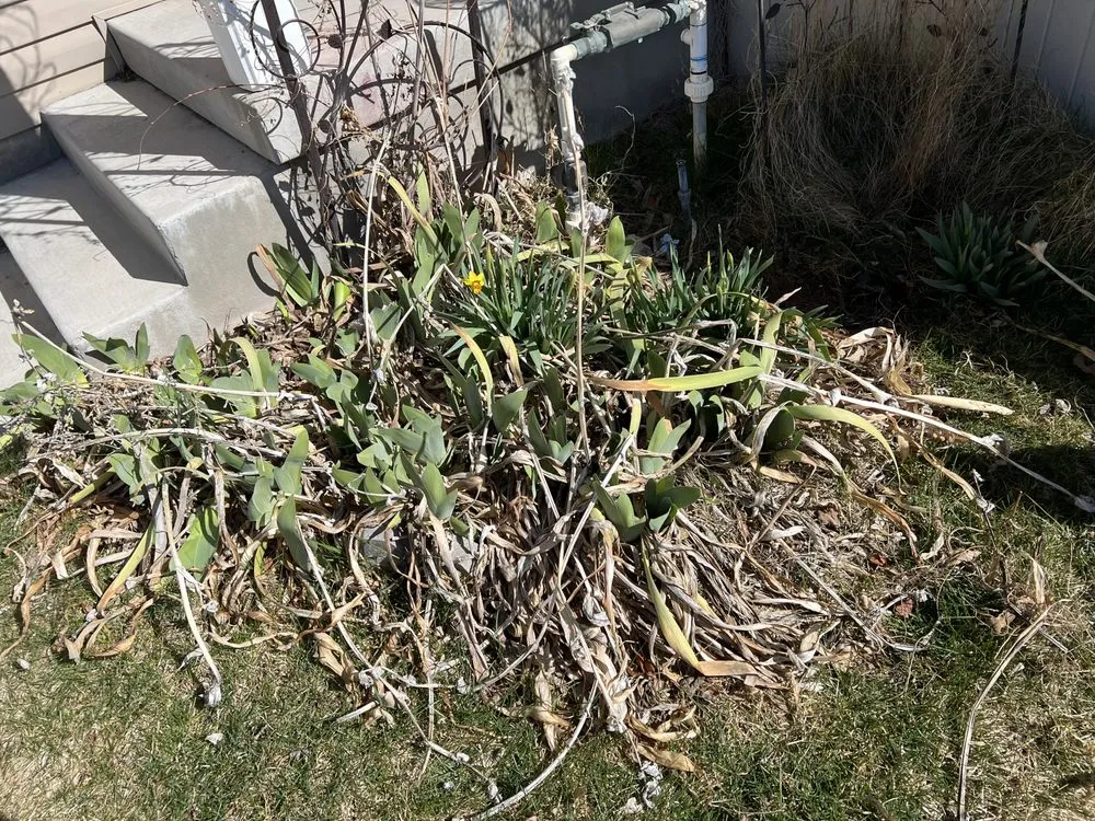 Trusted landscaping services in Eagle Mountain, UT - FC Landscaping