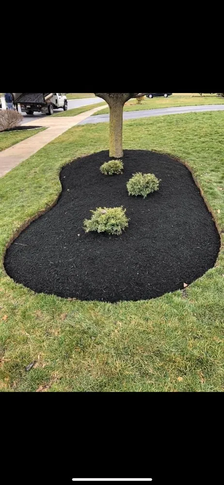 Local yard cleanup service for residential properties in Nottingham, PA by FC Landscaping