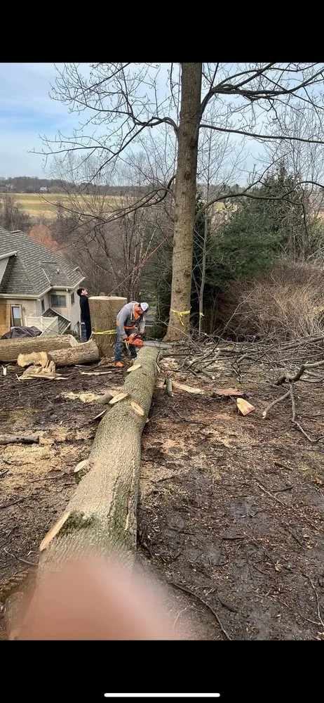 Affordable residential landscaping in Nottingham, PA by FC Landscaping