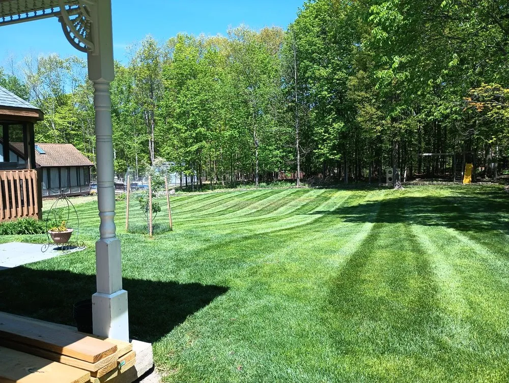 Local lawn care service experts serving Tinley Park, IL - FC Lawn Care and Landscaping