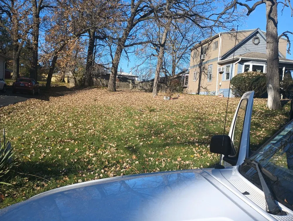 Affordable yard cleanup service in Tinley Park, IL by FC Lawn Care and Landscaping