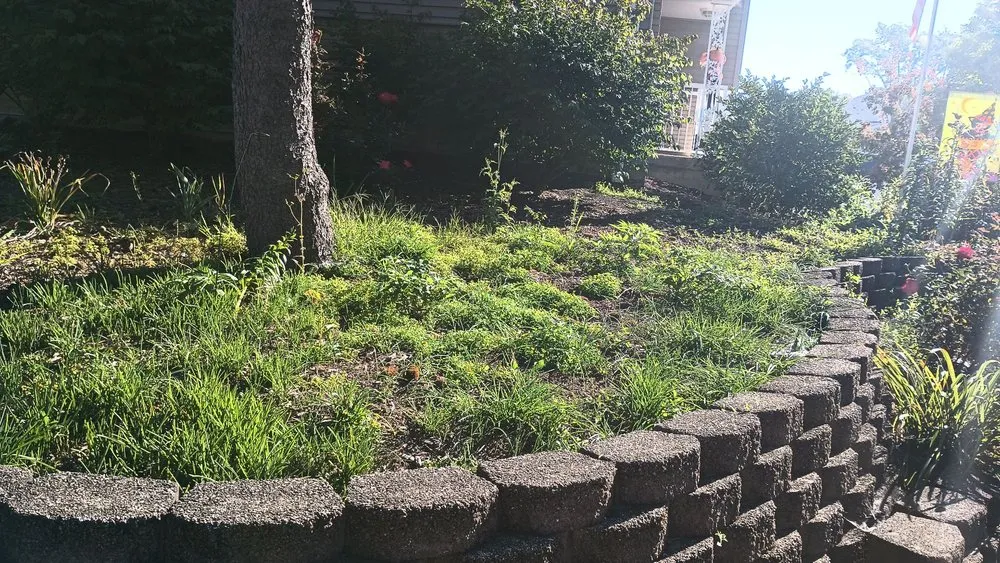 Affordable residential landscaping in Tinley Park, IL by FC Lawn Care and Landscaping