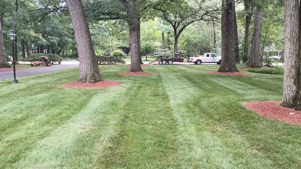 Reliable yard cleanup service in Tinley Park, IL by FC Lawn Care and Landscaping