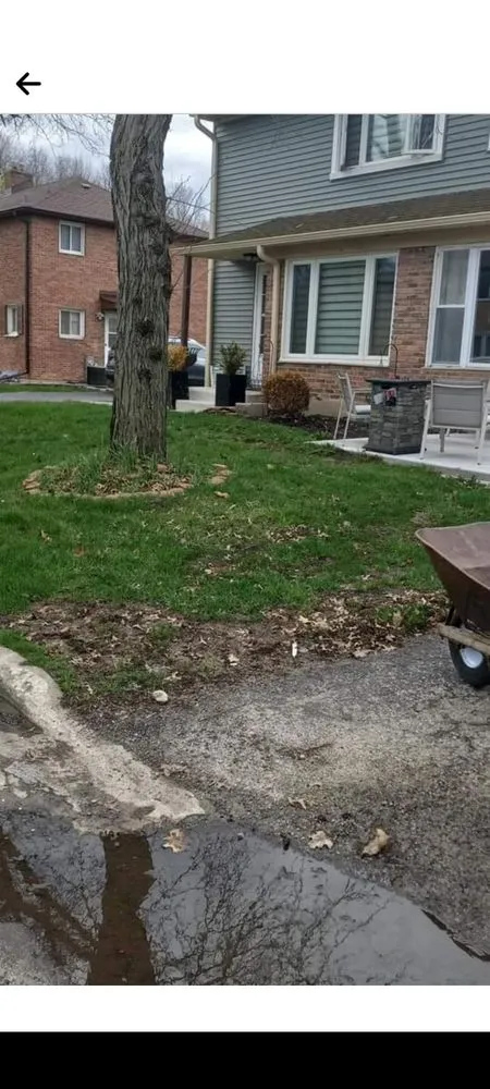 Top-rated landscape design in Tinley Park, IL - FC Lawn Care and Landscaping