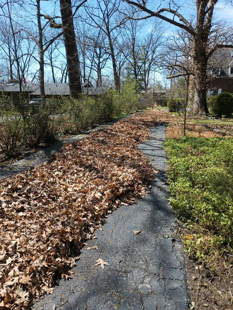 Local outdoor landscaping near you in Tinley Park, IL by FC Lawn Care and Landscaping