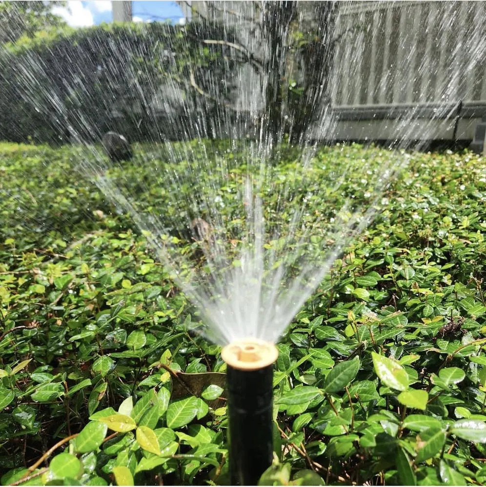 Local lawn care service experts serving Orlando, FL - FC Lawn Service & Landscaping