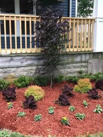 Custom yard maintenance in Homestead, FL by FD Landscaping