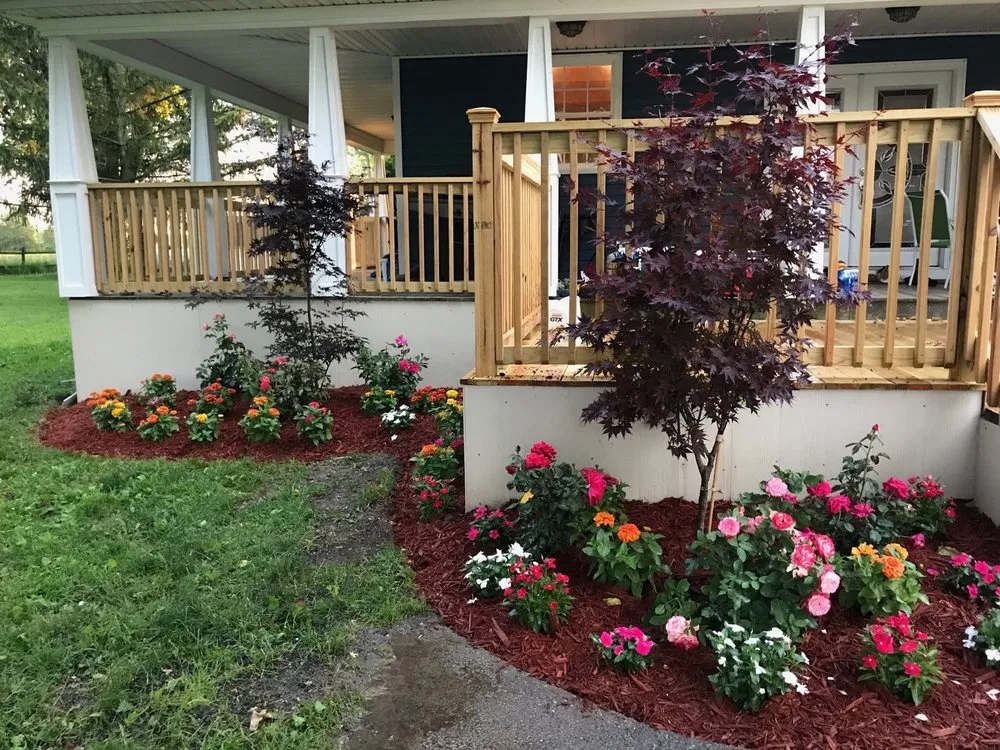 Local yard maintenance experts serving Homestead, FL - FD Landscaping