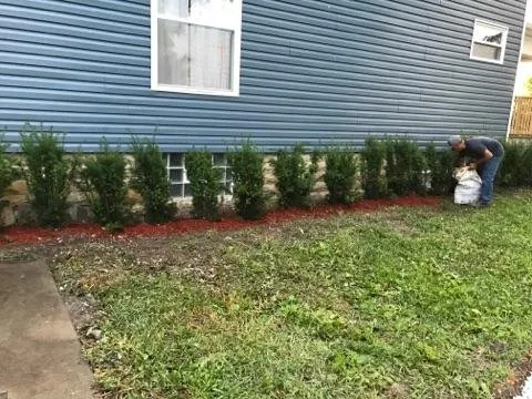 Professional outdoor landscaping for year-round maintenance in Homestead, FL by FD Landscaping