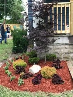 Trusted residential landscaping in Homestead, FL by FD Landscaping