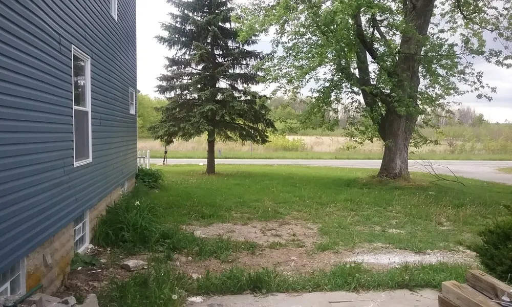 Expert landscaping services for year-round maintenance in Homestead, FL by FD Landscaping