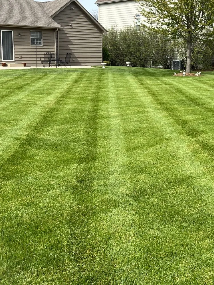 Affordable lawn mowing service experts serving Elgin, IL - F&D lawncare