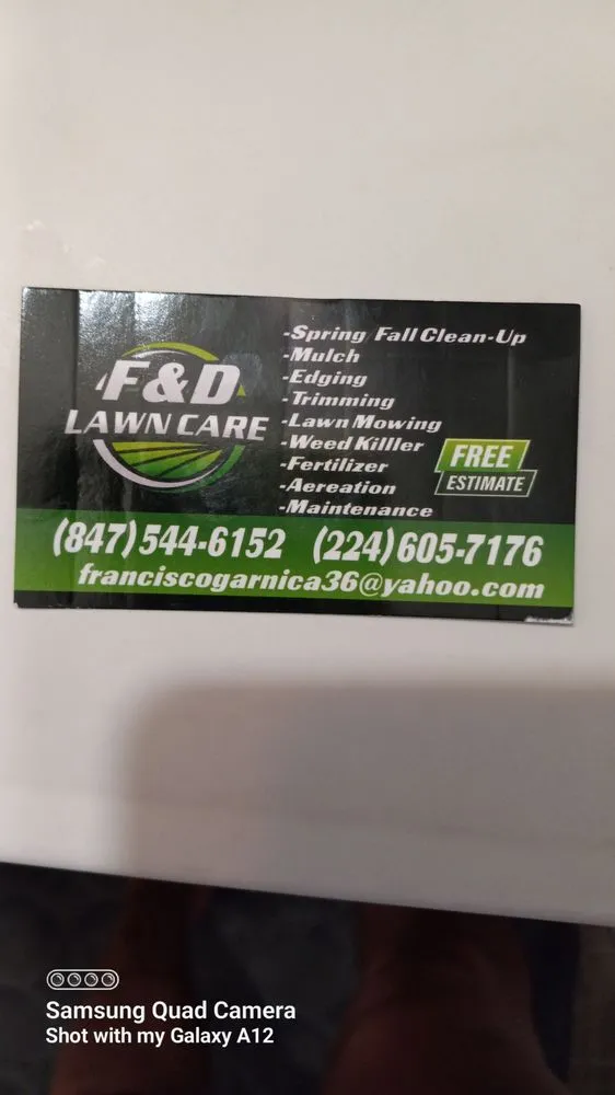 Professional yard cleanup service for outdoor upgrades across Elgin, IL - F&D lawncare