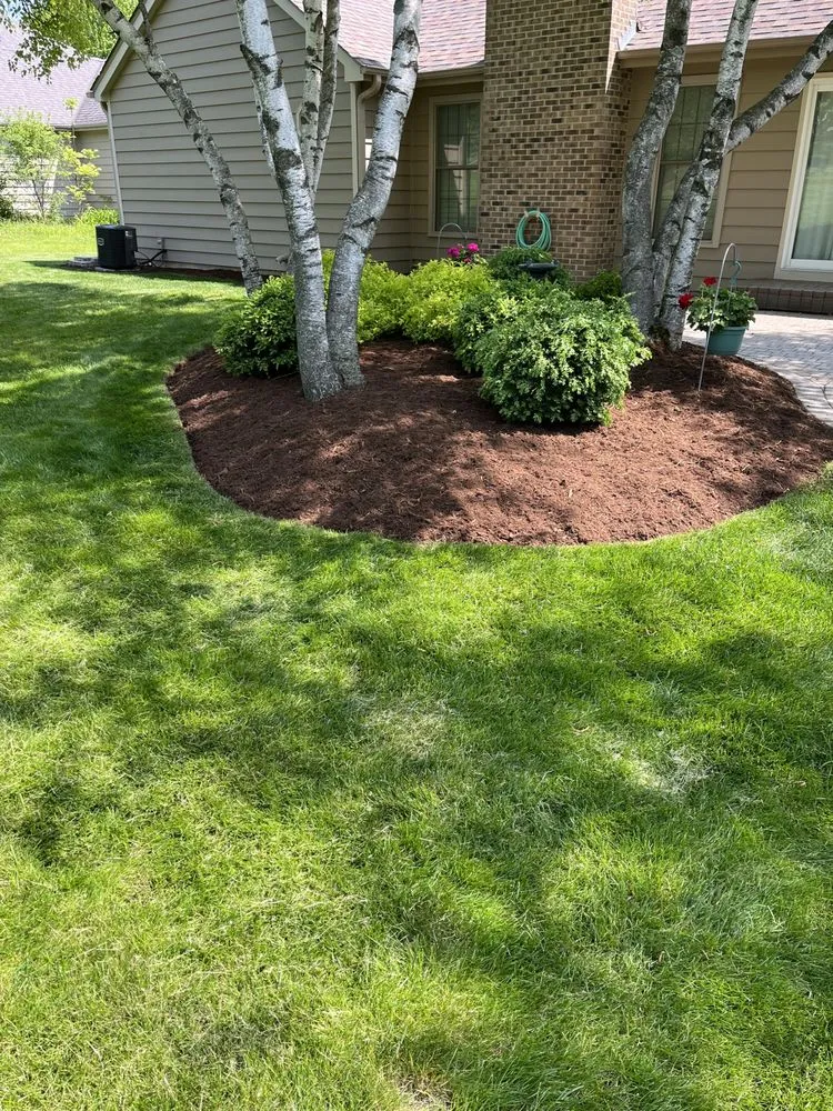 Expert yard maintenance near you in Elgin, IL by F&D lawncare