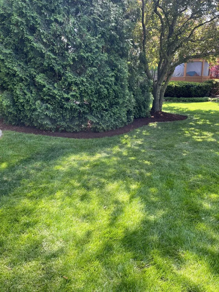 Custom yard cleanup service for residential properties across Elgin, IL - F&D lawncare