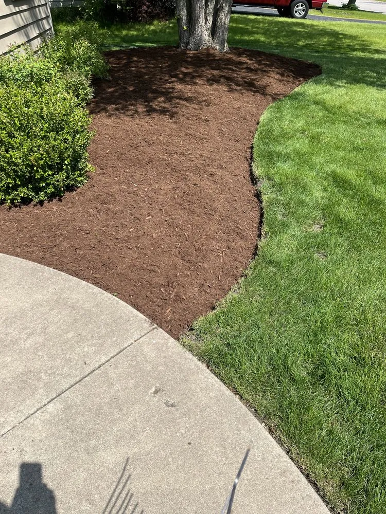 Expert landscaping services in Elgin, IL by F&D lawncare
