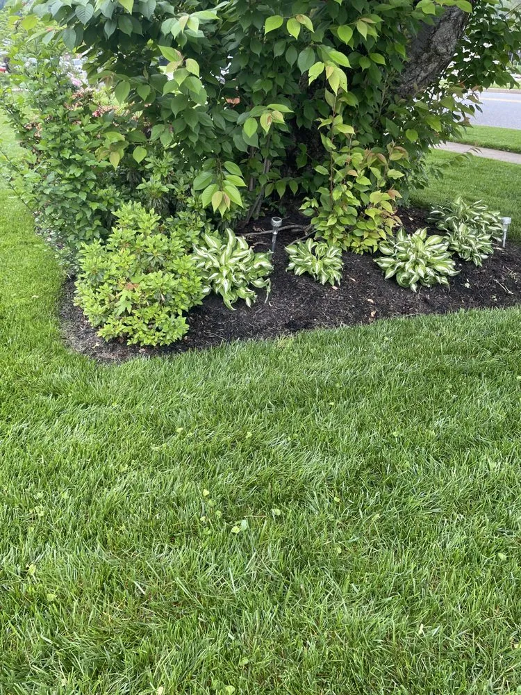 Local yard cleanup service near you across Hunt Valley, MD - F&D Lawnscaping