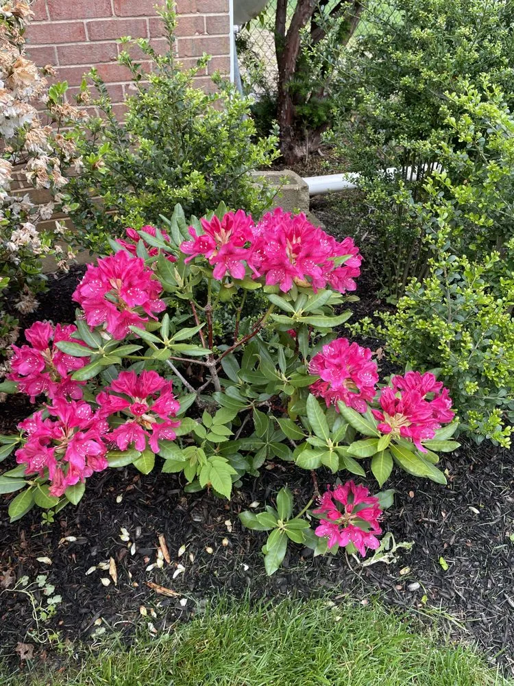 Reliable garden landscaping for residential properties in Hunt Valley, MD by F&D Lawnscaping