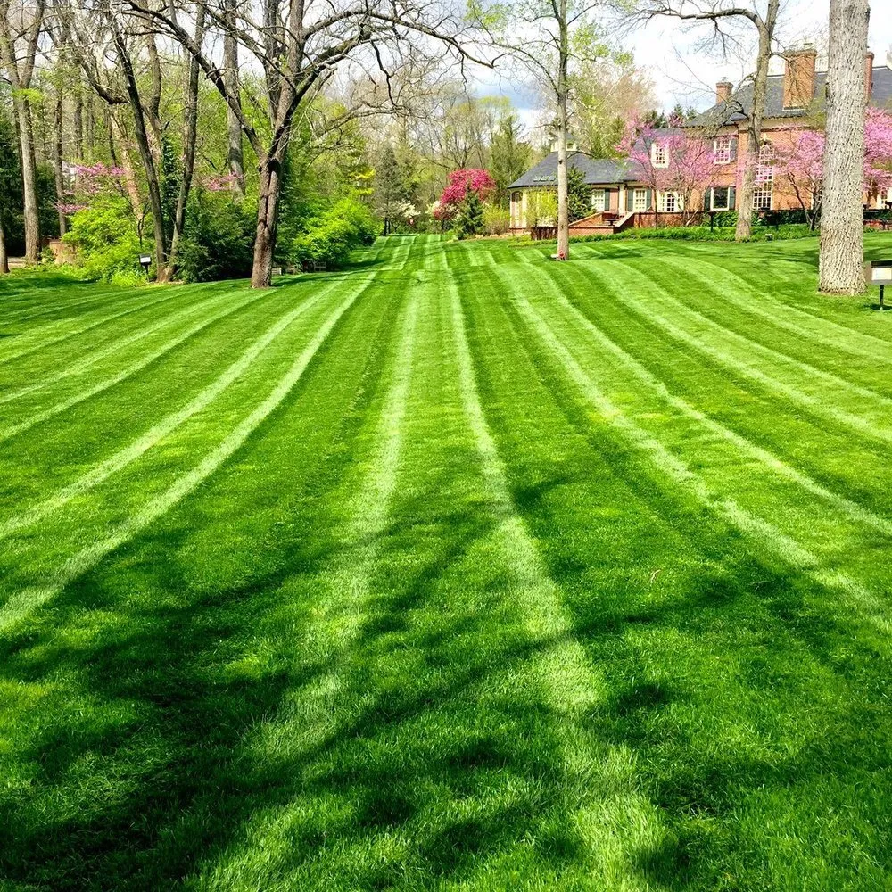 Trusted yard cleanup service for beautiful yards across Danbury, CT - Fds Landscaping and Carpenter