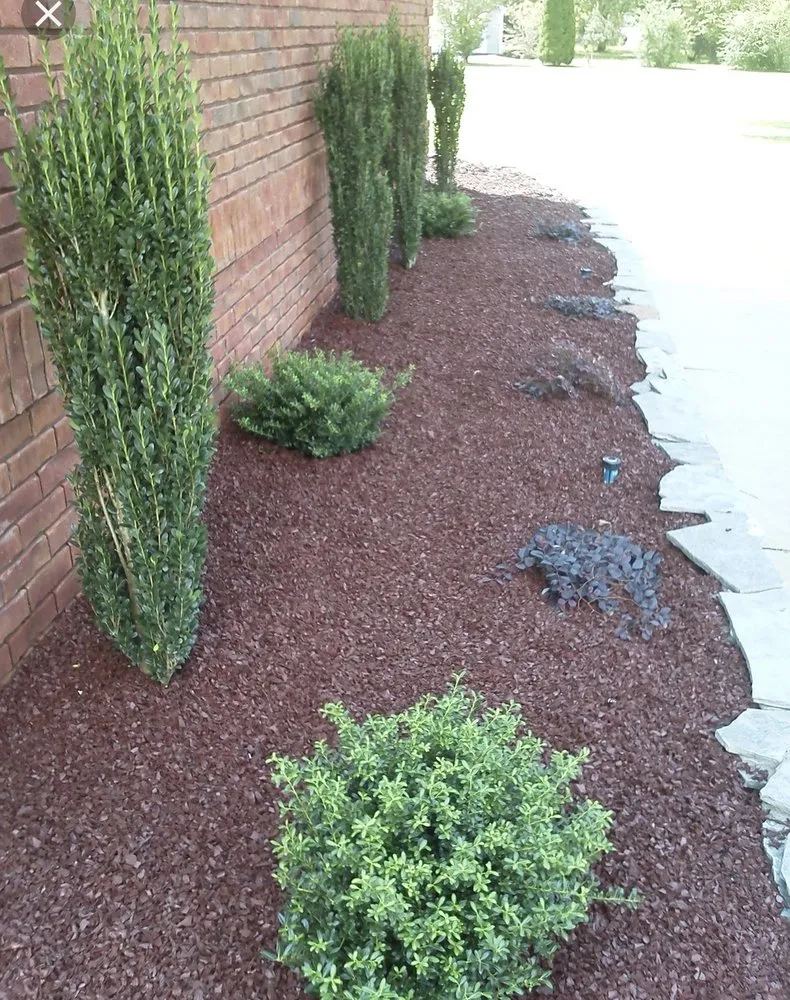 Professional yard cleanup service experts serving Paterson, NJ - F&E Garden Maintenance