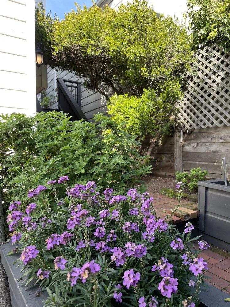 Custom landscaping services near you across San Francisco, CA - F&E Yard Services