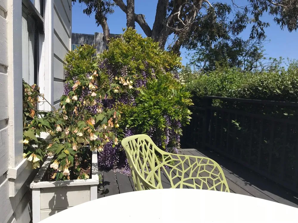 Trusted yard maintenance experts serving San Francisco, CA - F&E Yard Services