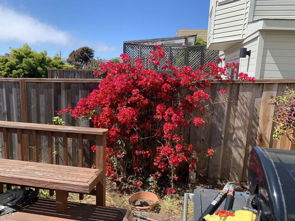 Trusted lawn care service for outdoor upgrades across San Francisco, CA - F&E Yard Services