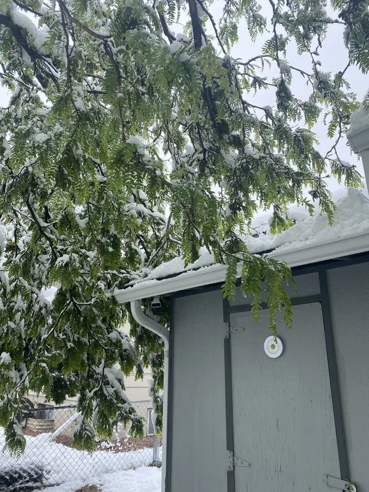 Top-rated residential landscaping in Colorado Springs, CO - Fearon's Quality Landscaping