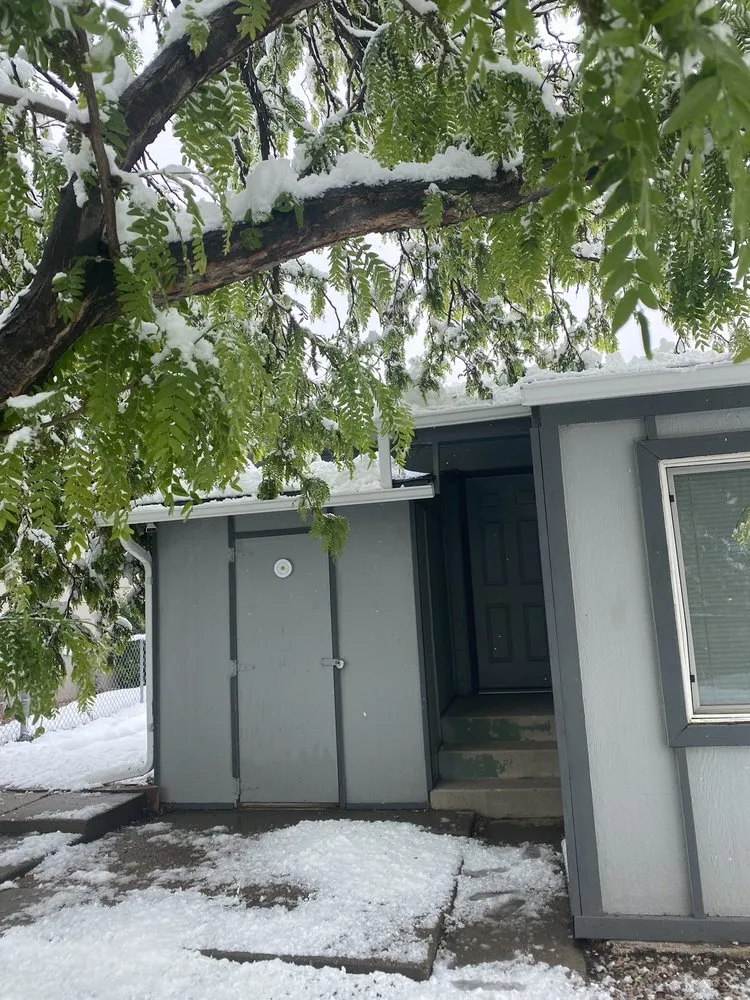 Expert yard maintenance in Colorado Springs, CO - Fearon's Quality Landscaping