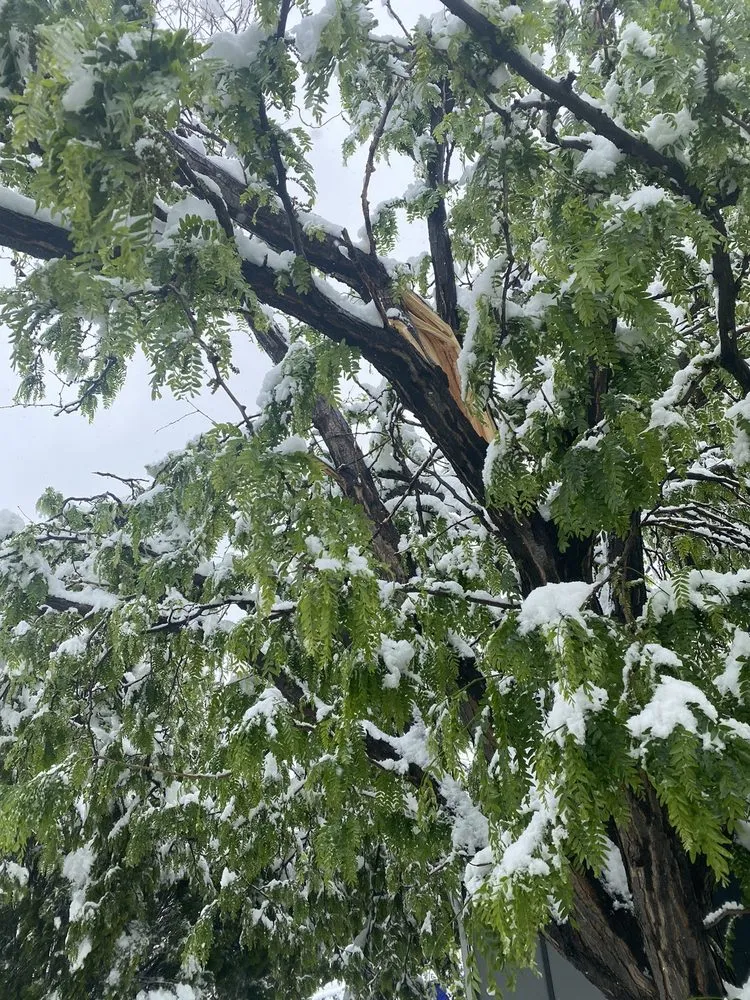 Professional lawn mowing service for homes across Colorado Springs, CO - Fearon's Quality Landscaping