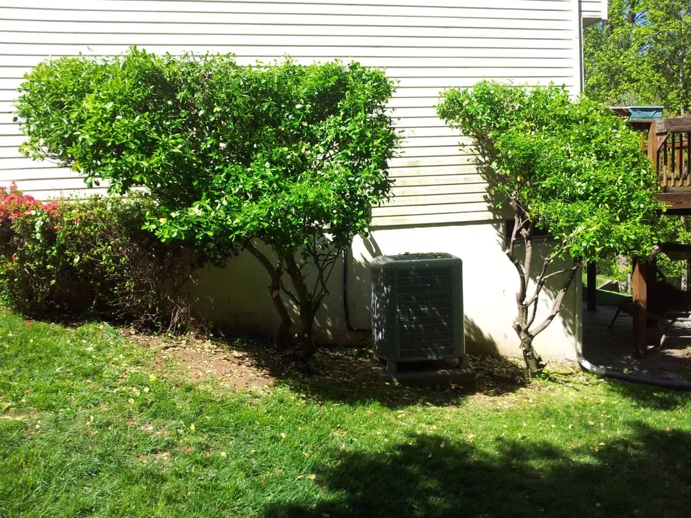 Trusted yard cleanup service for outdoor upgrades in Columbia, MD by Feaster Enterprises