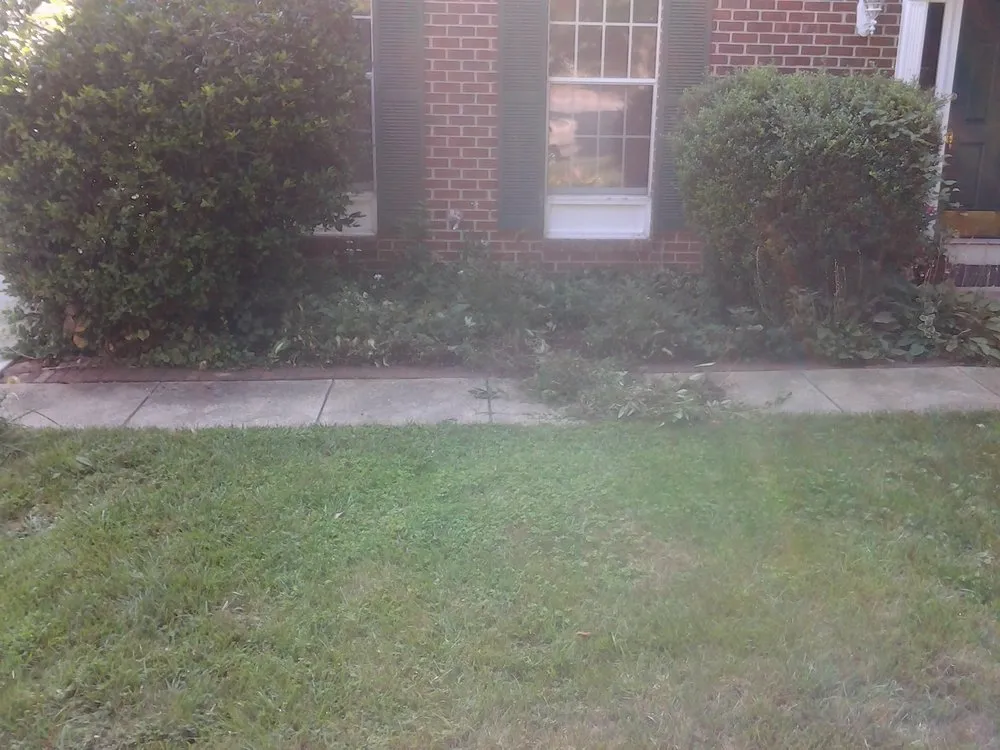 Professional residential landscaping in Columbia, MD - Feaster Enterprises