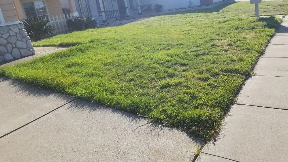 Trusted residential landscaping near you across Sutter, CA - Feather River Lawn Maintenance