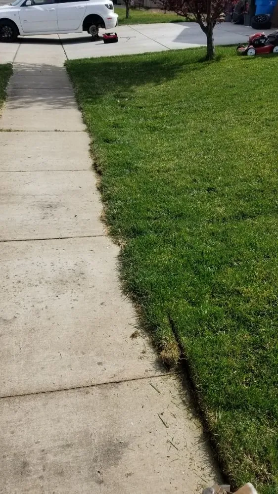 Custom yard maintenance in Sutter, CA - Feather River Lawn Maintenance