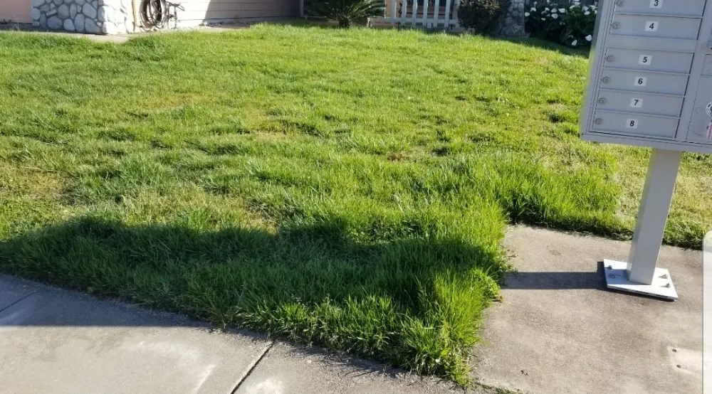 Reliable outdoor landscaping for homes in Sutter, CA by Feather River Lawn Maintenance