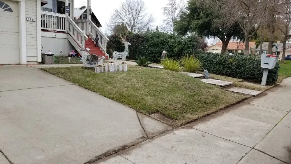 Affordable yard maintenance for year-round maintenance across Sutter, CA - Feather River Lawn Maintenance