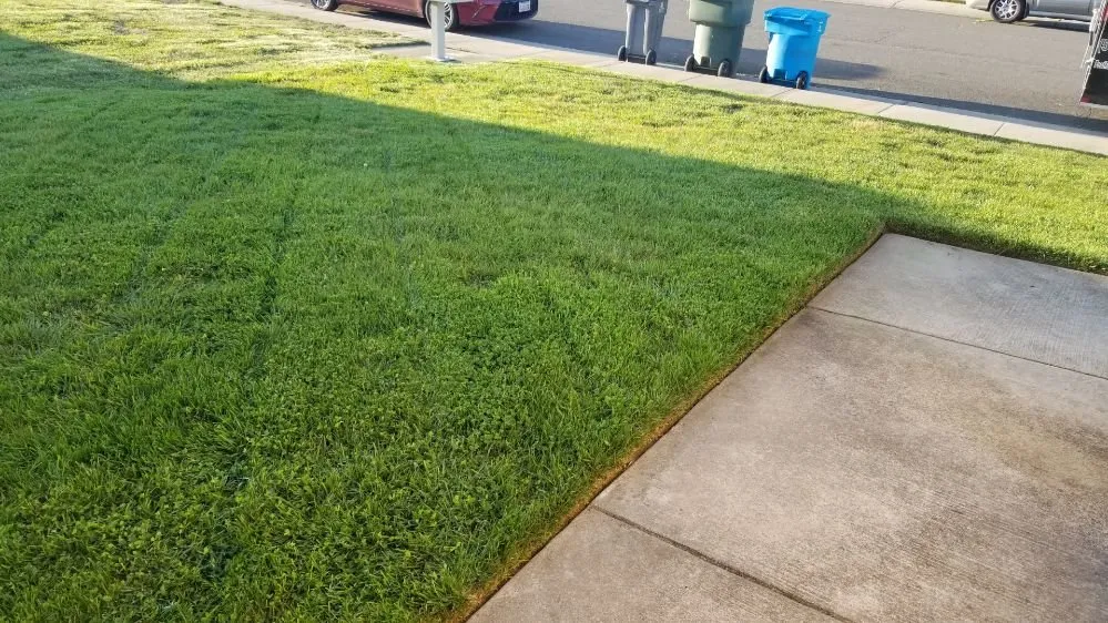 Reliable landscape design for beautiful yards in Sutter, CA by Feather River Lawn Maintenance