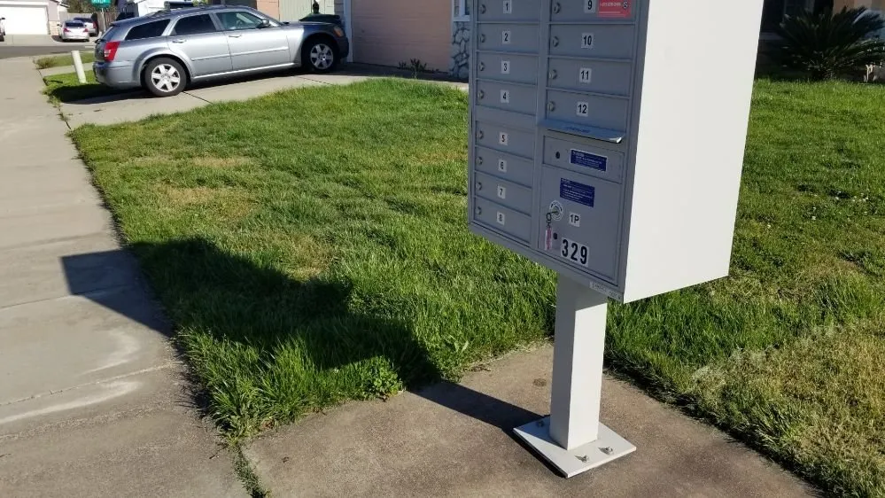 Professional yard maintenance in Sutter, CA by Feather River Lawn Maintenance